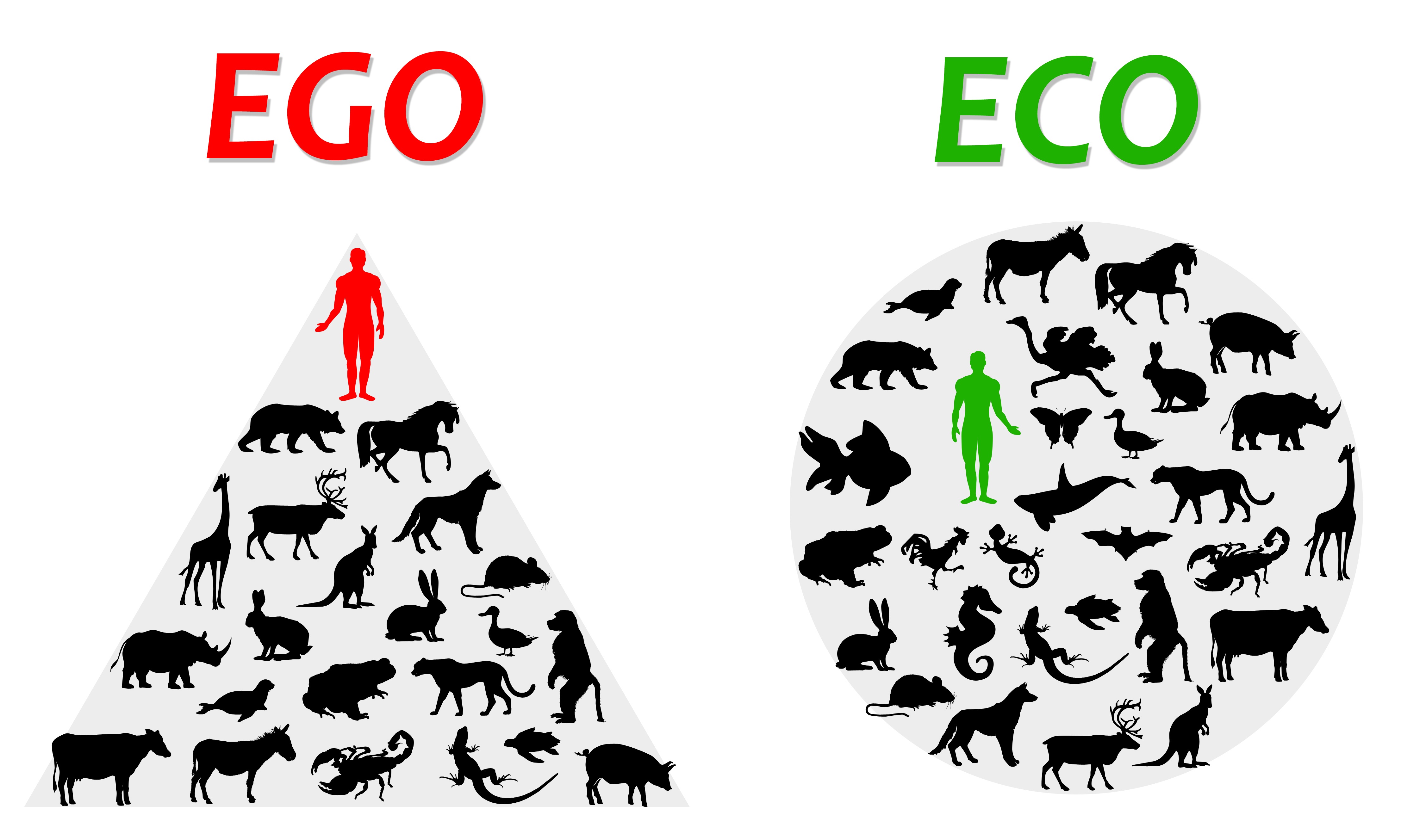 ego vs eco klein